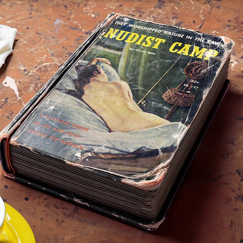 Orrie Hitt’s novel Nudist Camp